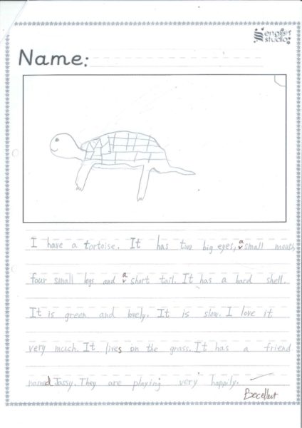 I have a Tortoise by Samantha Tang