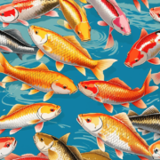 Animals in Chinese：Carp
