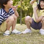 Summer Courses 2023