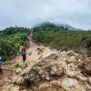 The Summer in Taiwan Literature